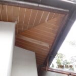 DSCF6547