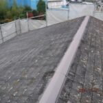 DSCF6820